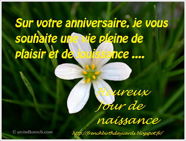 De Carte Heureux Jour on Jouissance anniversaire, jouissance, French Birthday card,