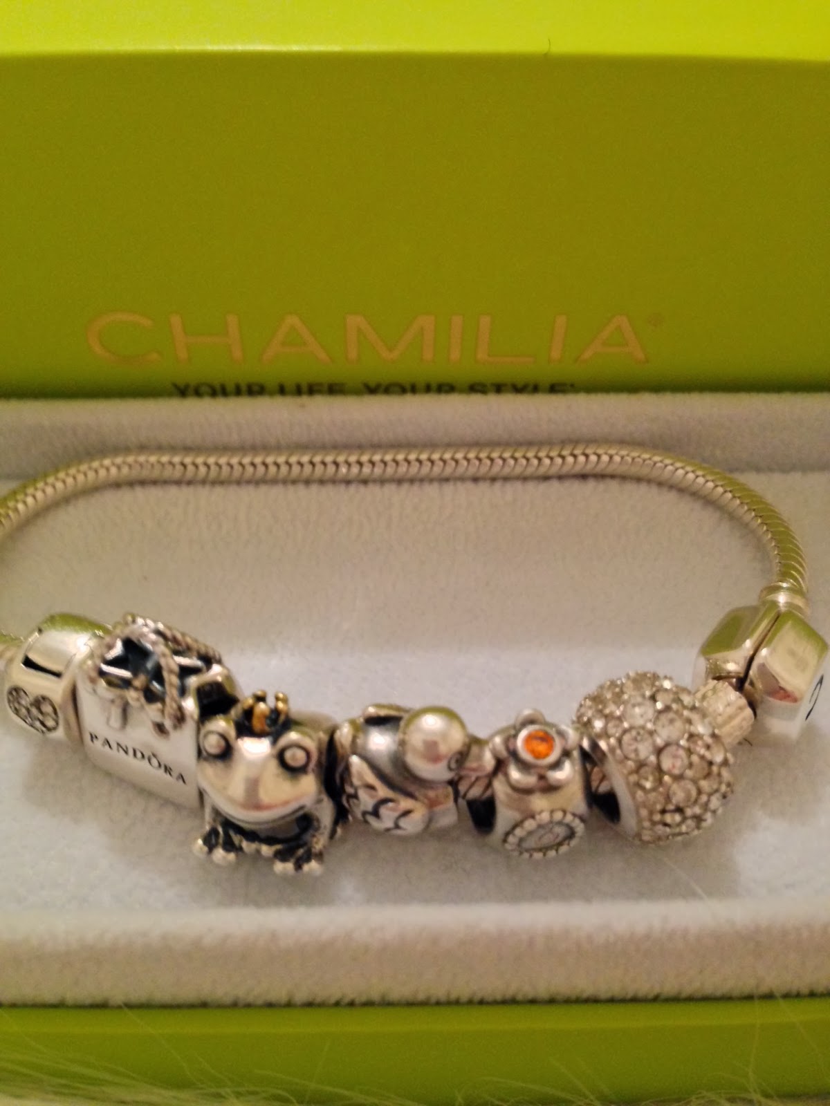 Mission Me! Charm bracelet (Chamilia and Pandora)