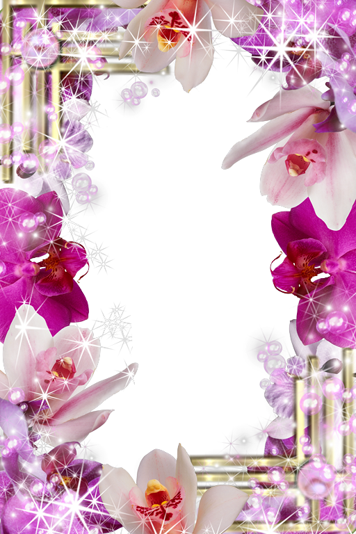 Marcos de Fotos con Flores Varios diseños. Marcos de 15 años. Marcos