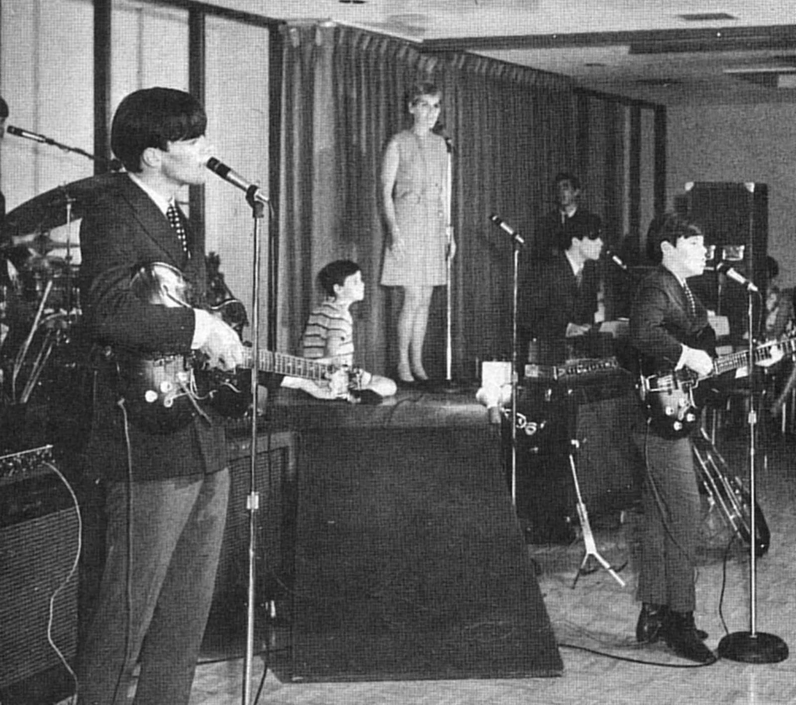 Forestdweller The Cowsills