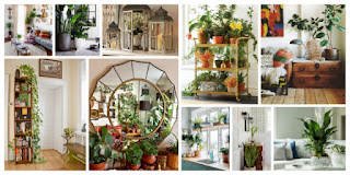 DIAKOSMHSEIS ME FYTA ESOTERIKOU XOROY INDOOR PLANTS IDEAS