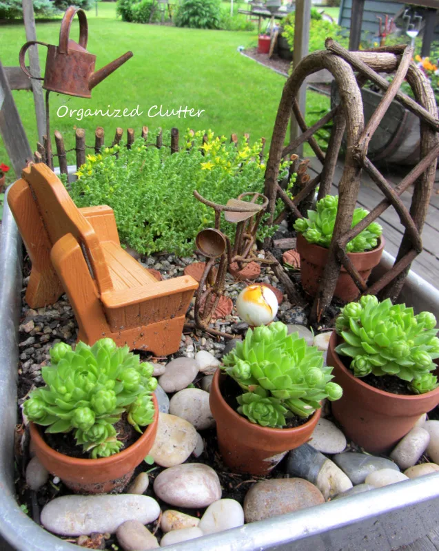 Miniature Garden With Terracotta & Succulents www.organizedclutterqueen.blogspot.com