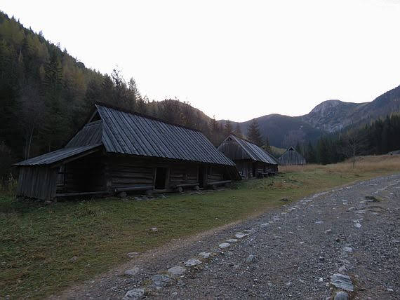 Szałasy w Dolinie Jaworzynka.