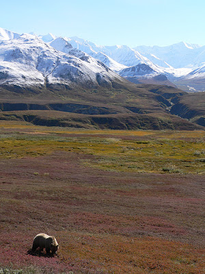 Hermoso paisajes en Alaska.