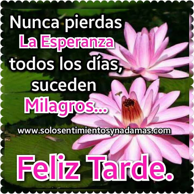 Feliz tarde.