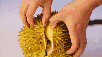 Komunitas ini Jalan-jalan demi Makan Duren, Aku sih Yes!