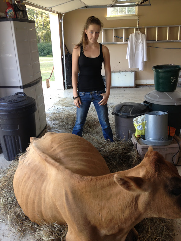 My Barefoot Farm: Adventures with Lucy the Family Cow: Slippery Step