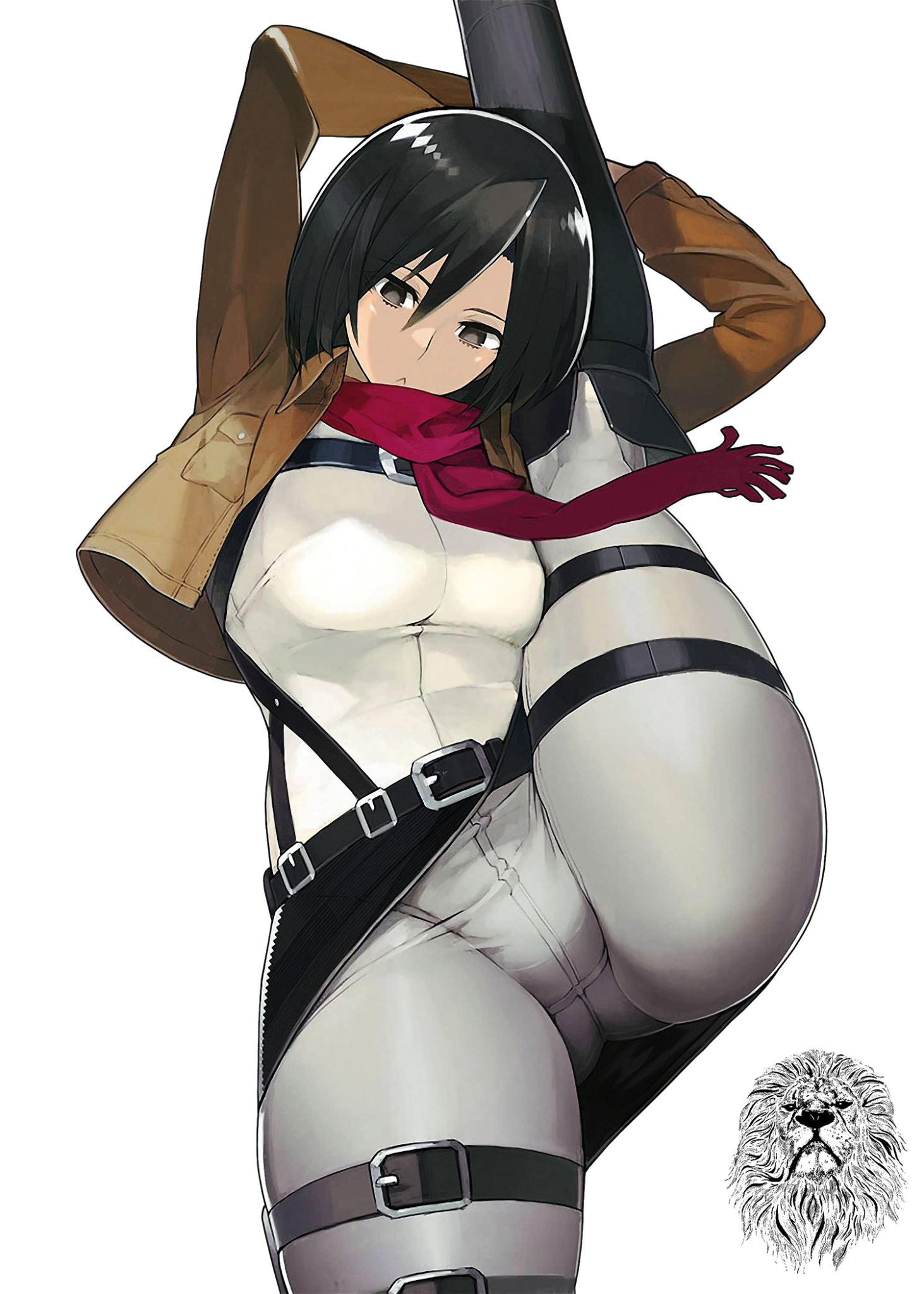 Shingeki - Mikasa Ackerman.