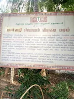 Koyambedu-Vishnu-temple.png