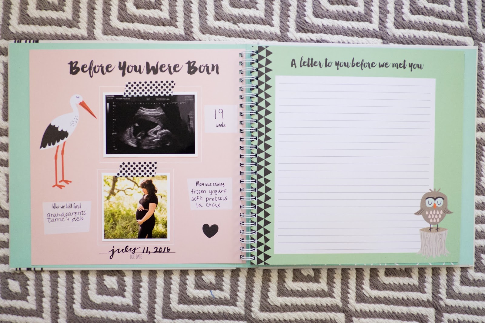 domestic fashionista baby s first year a baby book