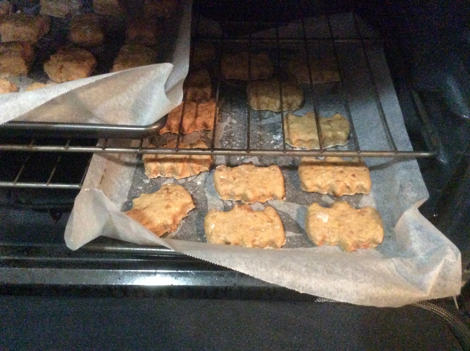 HOMEMADE PET TREATS AND RECIPES BEEF DOG BONES