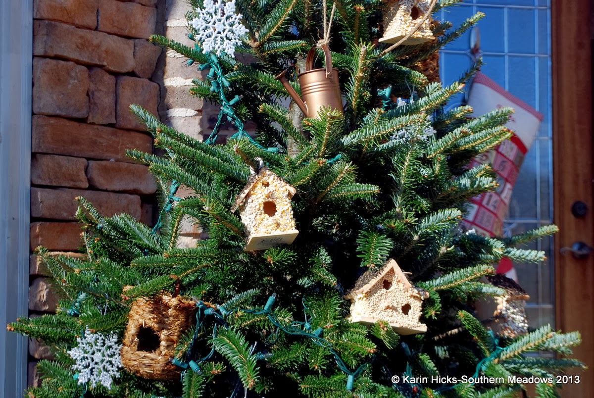 Seasonal CelebrationsWinter 2013