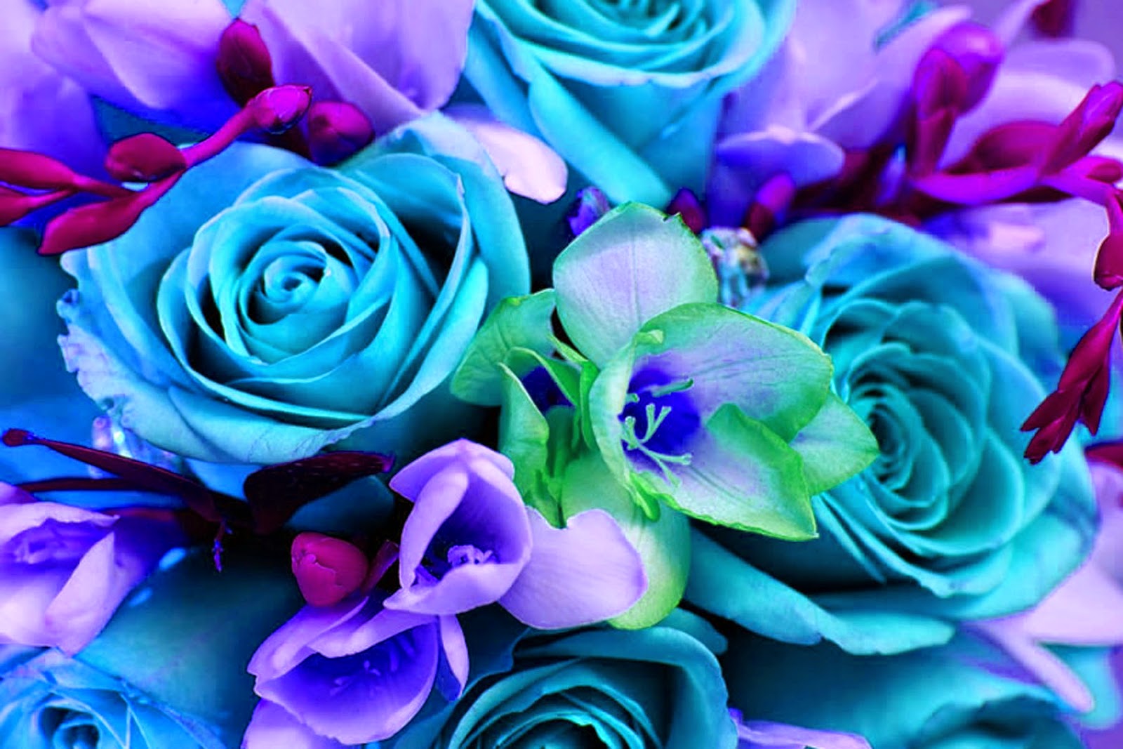 Doodlecraft: Colorful Bouquet of Flowers Wallpaper Background!