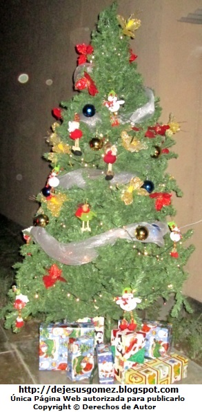 Arbol de Navidad Árbol de Navidad dentro de un Condominio (Callao). Foto de Arbol de Navidad de Jesus Gómez