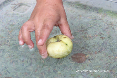 Kitchen Floor Crafts: Nature Objects: Sink or Float Exploration