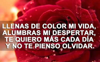 frases para el amor de mi vida frases para el amor de mi vida