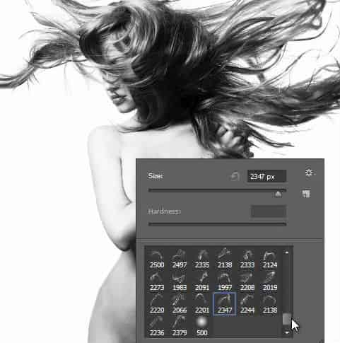 Hướng dẫn cài Brush trên Photoshop