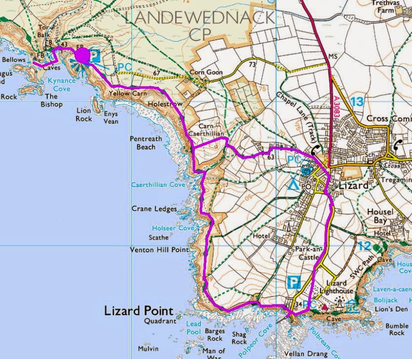 Learn.Draw.BIRD.: Cornish holiday - Kynance Cove & Lizard Point