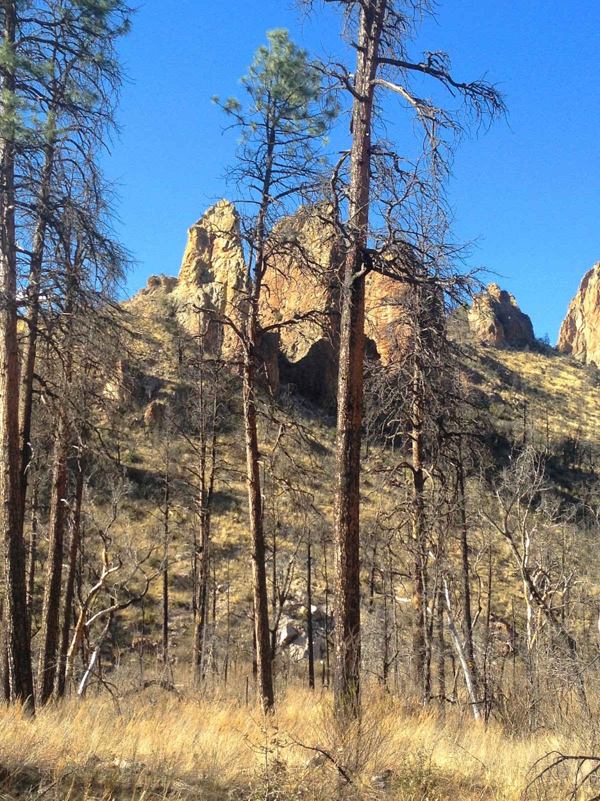 Southern New Mexico Explorer Aldo Leopold Wilderness West Curtis Canyon