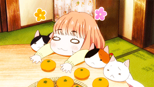 Get Https Encrypted Tbn0 Gstatic Com Images Q Tbn 3aand9gctywv5hzwkjxnrvjklrolg94lgccnduxjbrfq Usqp Cau For iPhone Wallpaper Https Encrypted Tbn0 Gstatic Com Images Q Tbn 3aand9gctywv5hzwkjxnrvjklrolg94lgccnduxjbrfq Usqp Cau For iPhone Free