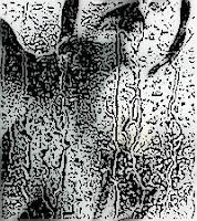 Mirando la lluvia a través del vidrio Mirando la lluvia a través del vidrio