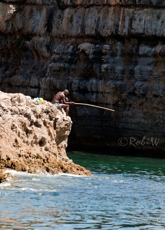 food fishing