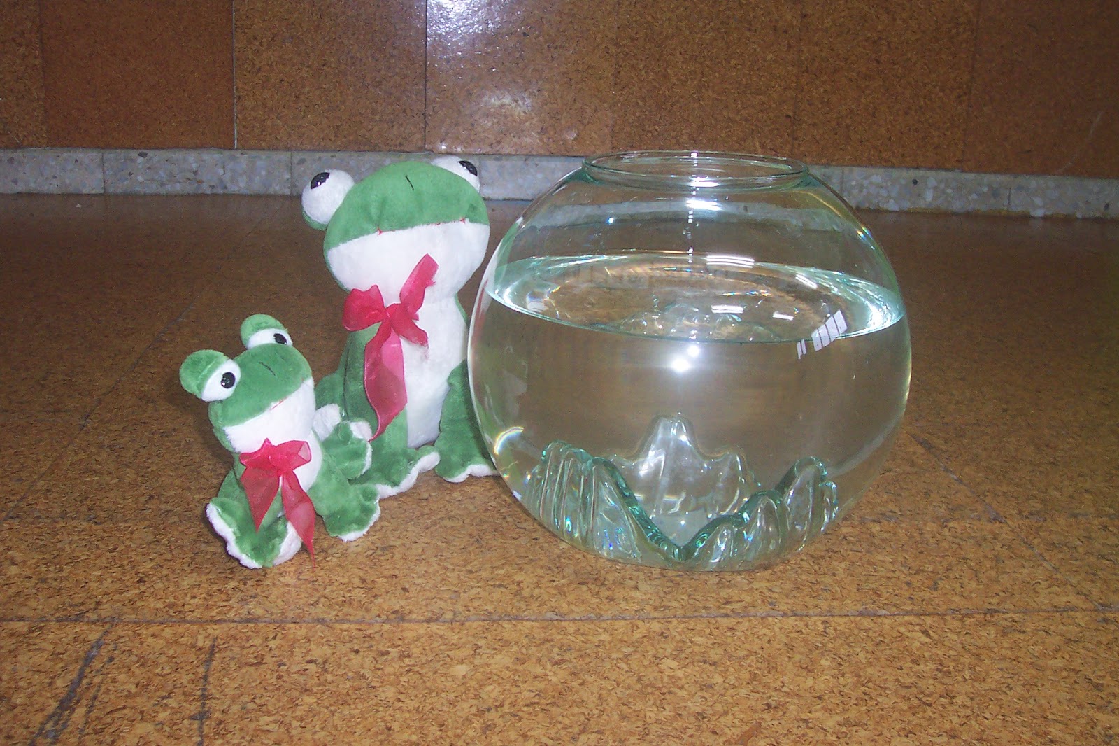 DIVERSIÓN EN LA CHARCA ¡SORPRESA TRAS SORPRESA!