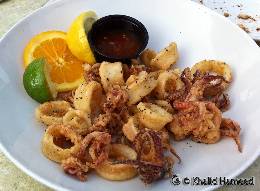 Scallywag Journeys Tampa Bay and Beyond Salt Rock GrillIndian