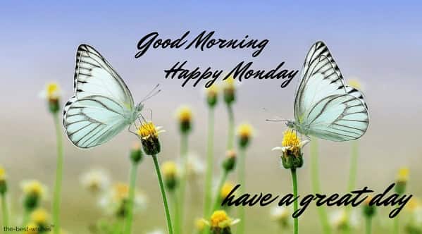 wonderful-pic-of-good-morning-happy-monday wonderful pic of good morning happy monday