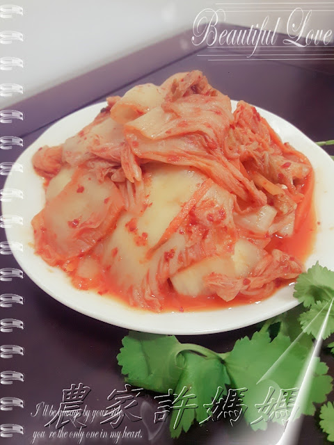 激推韓式泡菜製作方法-許媽媽韓國泡菜