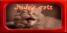 Judy's-cats