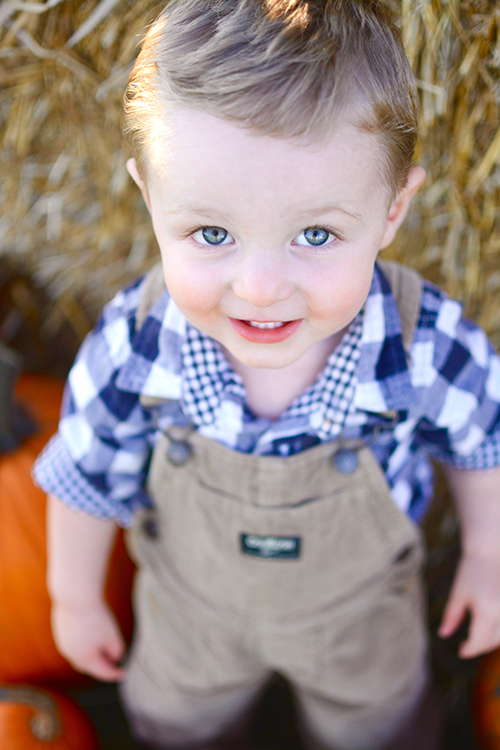 Pumpkin Patch, Fall | My Darling Days Pumpkin Patch, Fall | My Darling Days