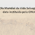 Dia 03 de março