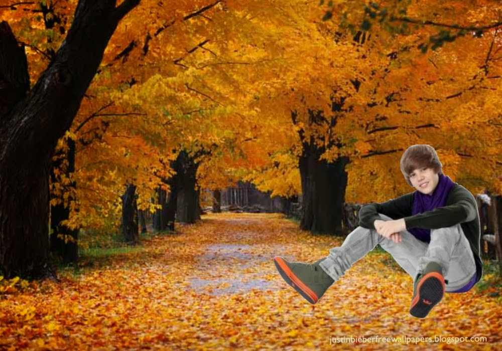 Justin Bieber posters wallpapers Valentines Day Concert at Autumn Trees Desktop Wallpaper Justin Bieber