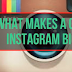 What to Put On Instagram Bio