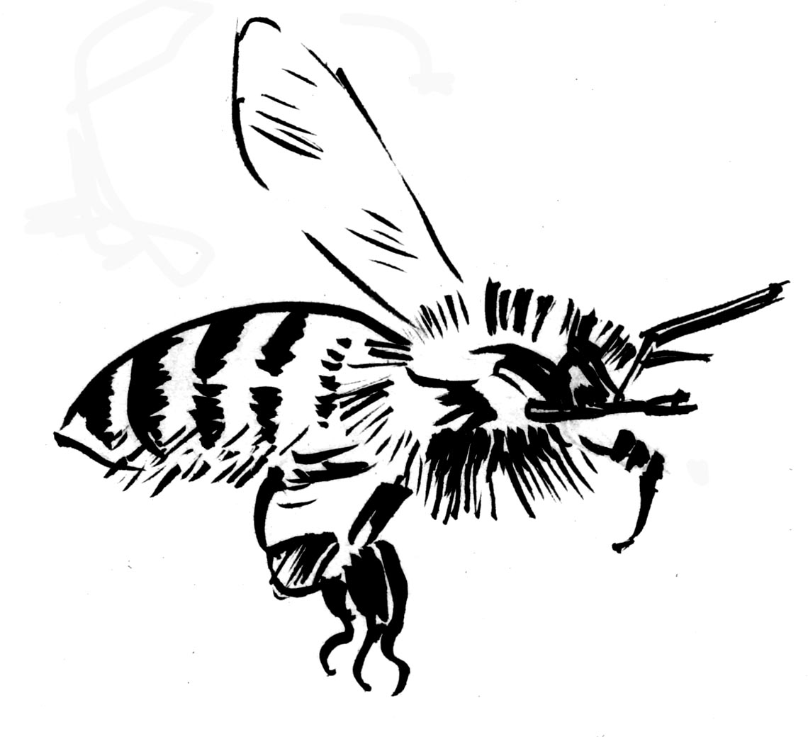 A propos de l'abeille en Soule