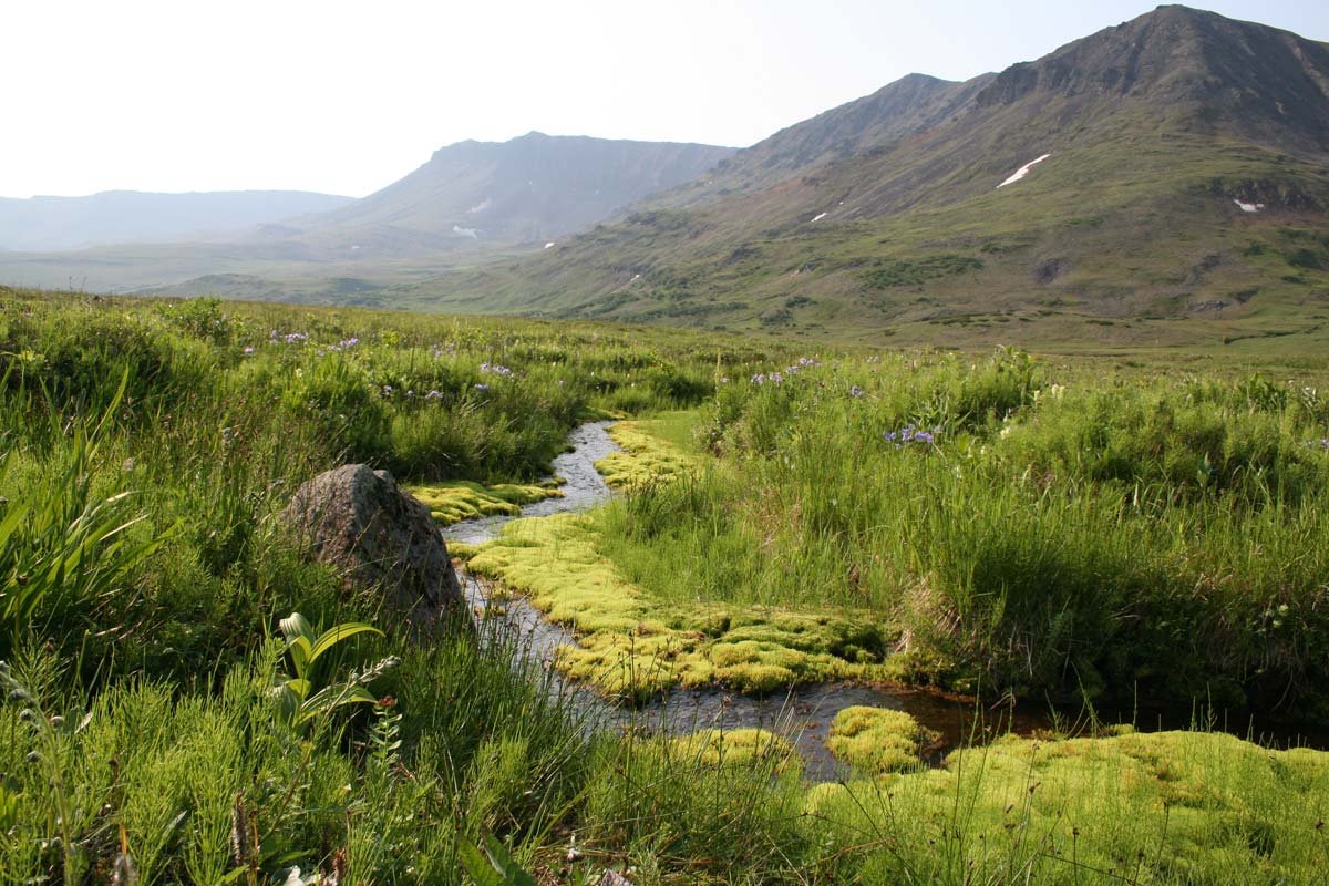 Типы почв дальнего востока. Почвенная карта дальнего востока. Типы почв приморского края. Почвы смешанных лесов дальнего востока. Почвы дальнего востока россии.