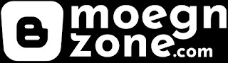 Blog Moegnzone.com | Zona Marketing Online