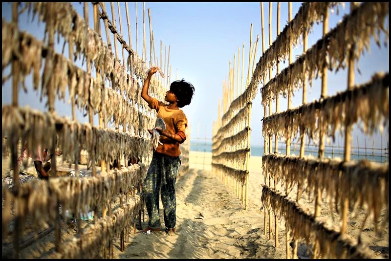 Cox Bazar Cox Bazar