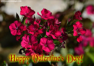 happy valentines day images for husband