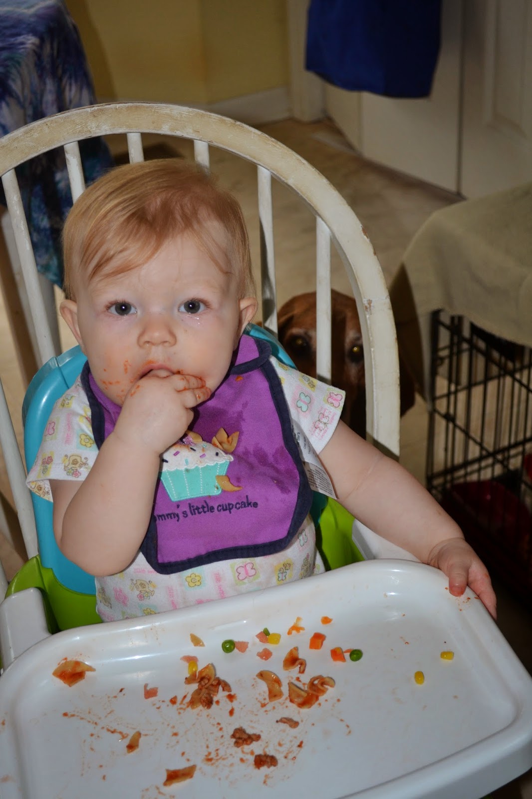 finger-foods-for-an-11-month-old-meal-ideas