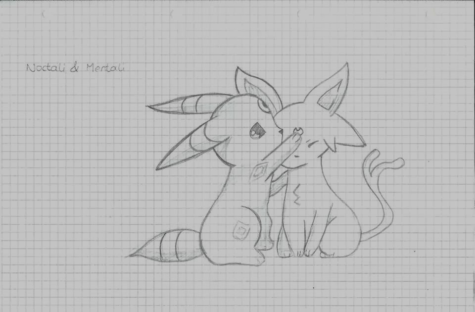 TeCAnime: Fan Art : Noctali & Mentali