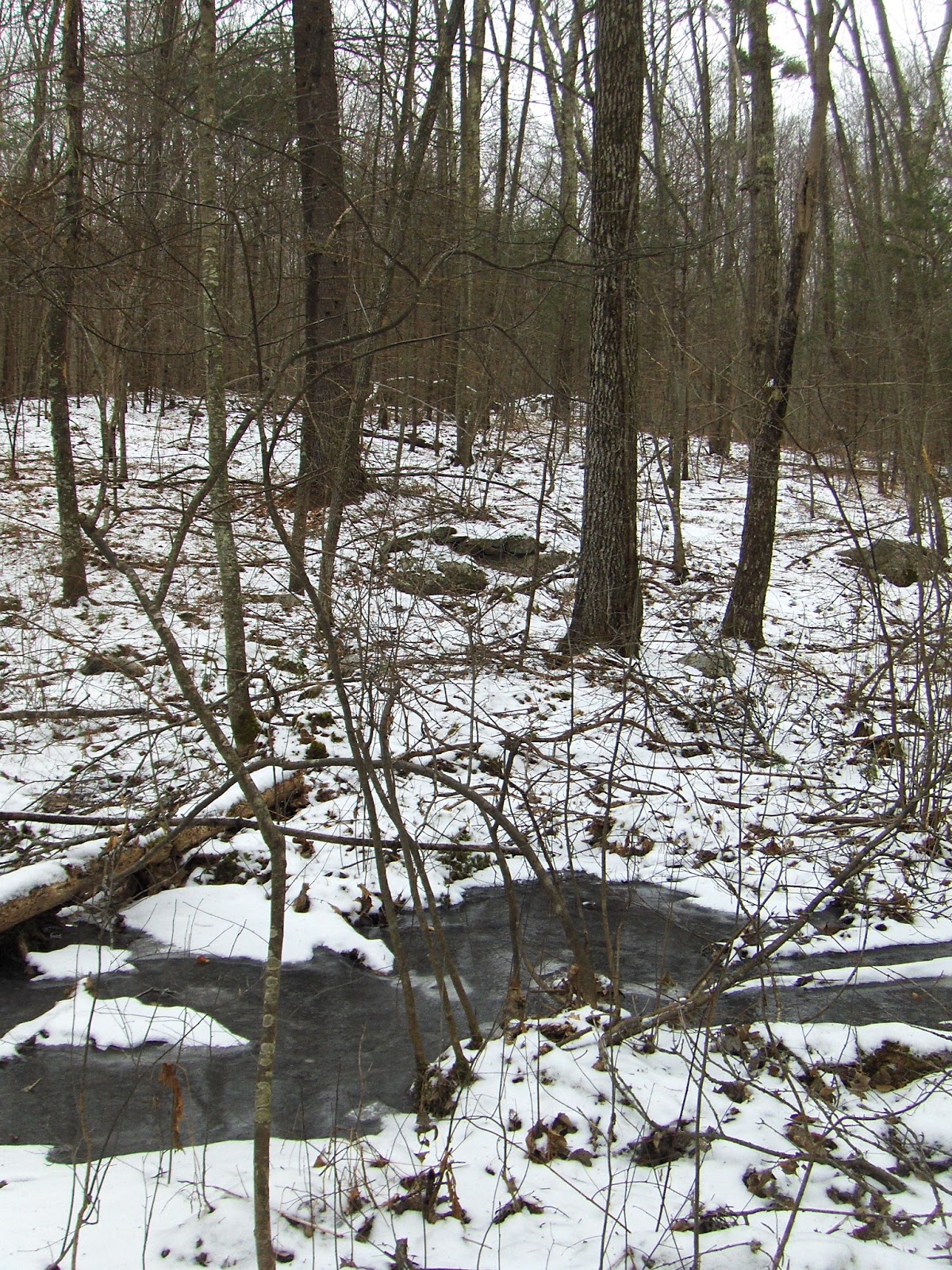 Rock Piles Quisset Wildlife Management Area Mendon MA