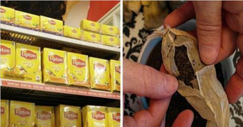 Most Popular Tea Bags Contain Illegal Amounts of Deadly Pesticides (avoid these brands at all costs) 