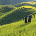Trekking in Sapa becomes easier than ever!