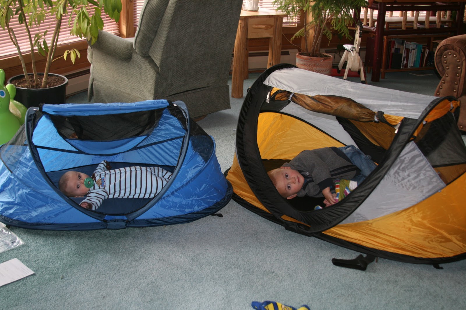 Kidco 2024 beach tent