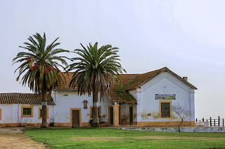 Bolaños