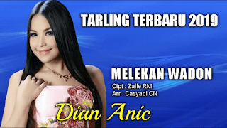 Lirik Lagu Melekan Wadon - Dian Anic