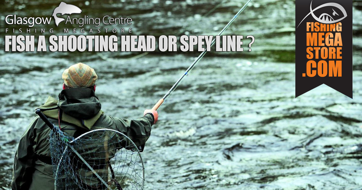 Shooting Head or Spey Line?