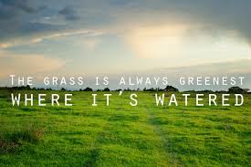 Пословица the grass is always greener. Grass greener on the other side. The grass is always greener. The grass is always greener по русски. The glass is always greener on the other side of the fence.
